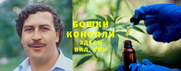 Альфа ПВП Лагань