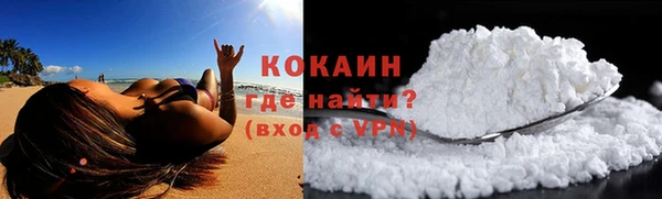 Альфа ПВП Лагань