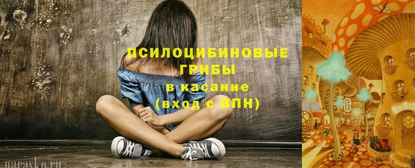 Альфа ПВП Кукмор