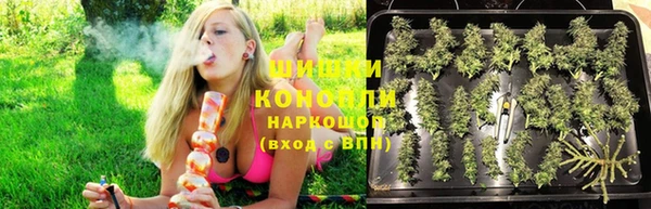 Альфа ПВП Лагань
