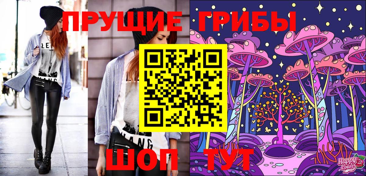 Псилоцибиновые грибы прущие грибы Михайловка