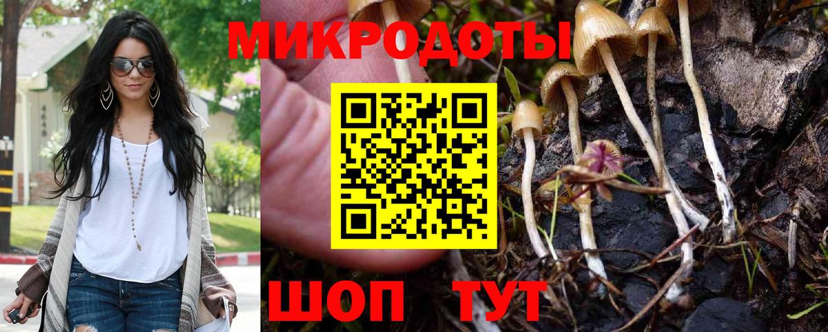Михайловка  Галлюциногенные грибы ЛСД  Вход с VPN  Псилоцибиновые грибы Psilocybine cubensis 